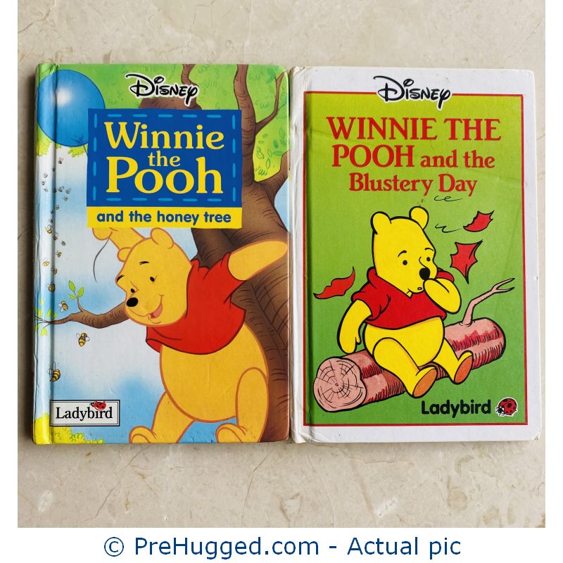Winnie the Pooh – 2 small hardcover books