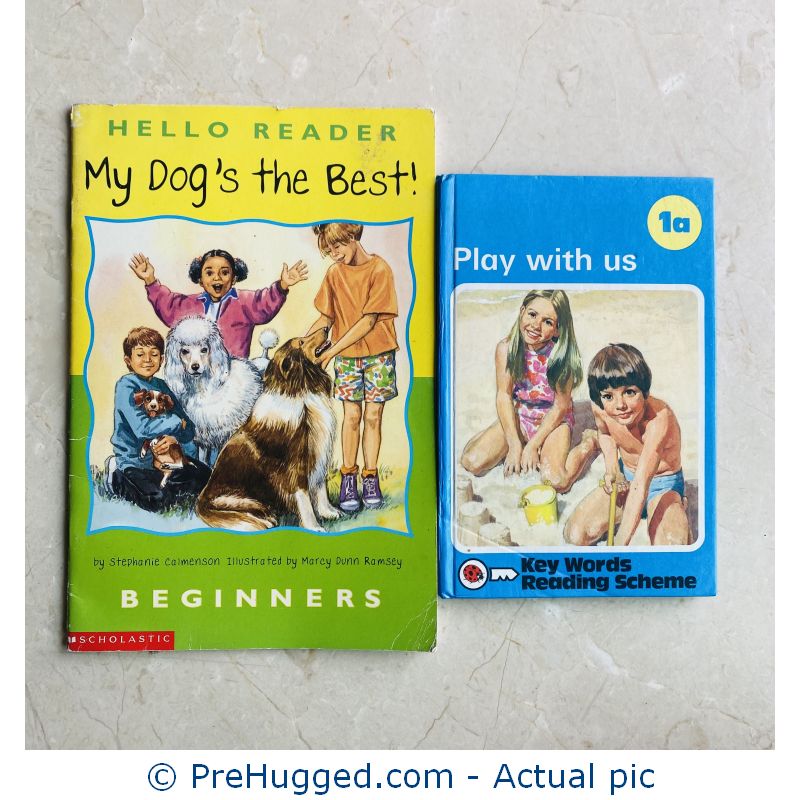 2 Books for Beginner Readers