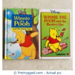Winnie the Pooh - 2 small hardcover books