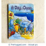 A day in the Ocean Board Book