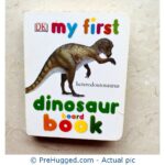 My First Dinosaur Board book
