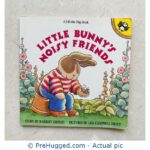 Little Bunny's Noisy Friends Paperback