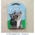 Baby Koala: Baby Touch & Feel Board book