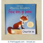 Fox on a Box (Usborne Phonics Readers) Paperback