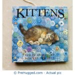 Kittens: Pop-up Book