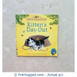 Kitten's Day Out (Farmyard Tales) Paperback - Small