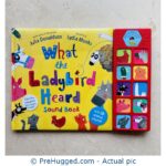 What the Ladybird Heard Sound Book