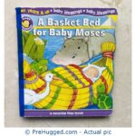 A Basket Bed for Baby Moses: A Surprise Flap Book Board book