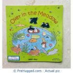 Over in the Meadow (Classic Books With Holes) - Big Size