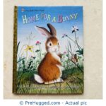 Home for a bunny by Margaret Wise Brown