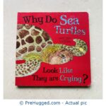 Why Do Sea Turtles Look Like They are Crying?