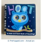 Hoot: A Hide-And-Seek Book of Counting
