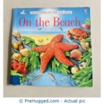 On the Beach (Usborne Lift-The-Flap)