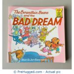 The Berenstain Bears and the Bad Dream