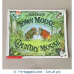 Town Mouse Country Mouse by Jan Brett
