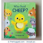 Who Said CHEEP? A lift-the-flap touch and feel book