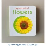 My First Book of - Flowers