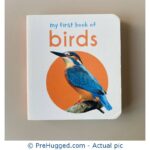 My First Book of - Birds