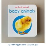 My First Book of - Baby Animals