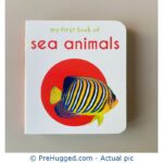 My First Book of - Sea Animals
