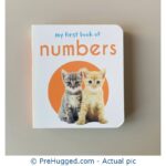 My First Book of - Numbers