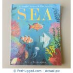 A world beneath the waves - SEA