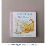 Biscuit and the Bunny