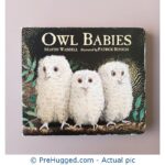Owl Babies Board Book