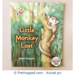 Little Monkey Lost