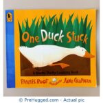 One Duck Stuck