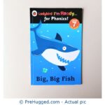 Big Big Fish - Phonics Level 7