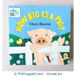 How Big Is A Pig