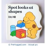Spot Looks At Shapes