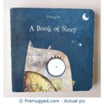 A Book Of Sleep
