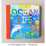 Ocean Life Small Board Book