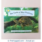 Box Turtle At Silver Pond Lane
