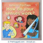 How do your senses work?