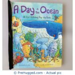 A Day In The Ocean An Eye-Catching Pop-Up Book