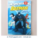 Batman - Winter Wasteland
