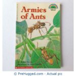Armies Of Ants