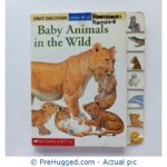 First Discovery Look It Up - Baby Animals In The Wild