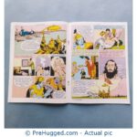 Amar Chitra Katha - The Gita: The Song Of Eternal Wisdom