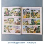 Amar Chitra Katha - Sundari: The Girl Who Became A Warrior