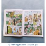 Amar Chitra Katha - Devi Choudhurani: The Bandit Queen