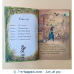 The Wind In The Willows Based On The Story By Kenneth Grahame - Usborne Young Reading