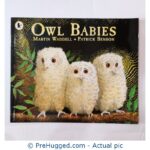 Owl Babies Martin Waddell Patrick Benson