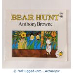 Bear Hunt (Anthony Browne Scholastic)