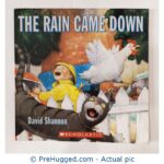The Rain Came Down By David Shannon (Blue Sky Press)