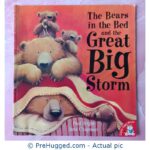 The Bears In The Bed And The Great Big Storm Paul Bright Jane Chapman Tiger Press Little