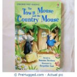 Usborne First Reading Town Mouse Country Mouse - PreHugged Children’s Book